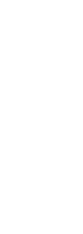 豚軟骨の 塩スープ仕立て